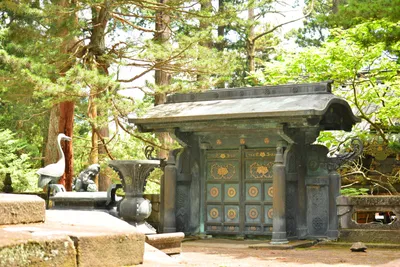 DSC_3906 (Large).JPG